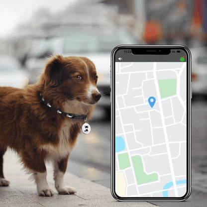 Pet GPS Tracker For Dogs And Cats With Real - Time Location - Nalani - UK Fashion Clothing and Decor