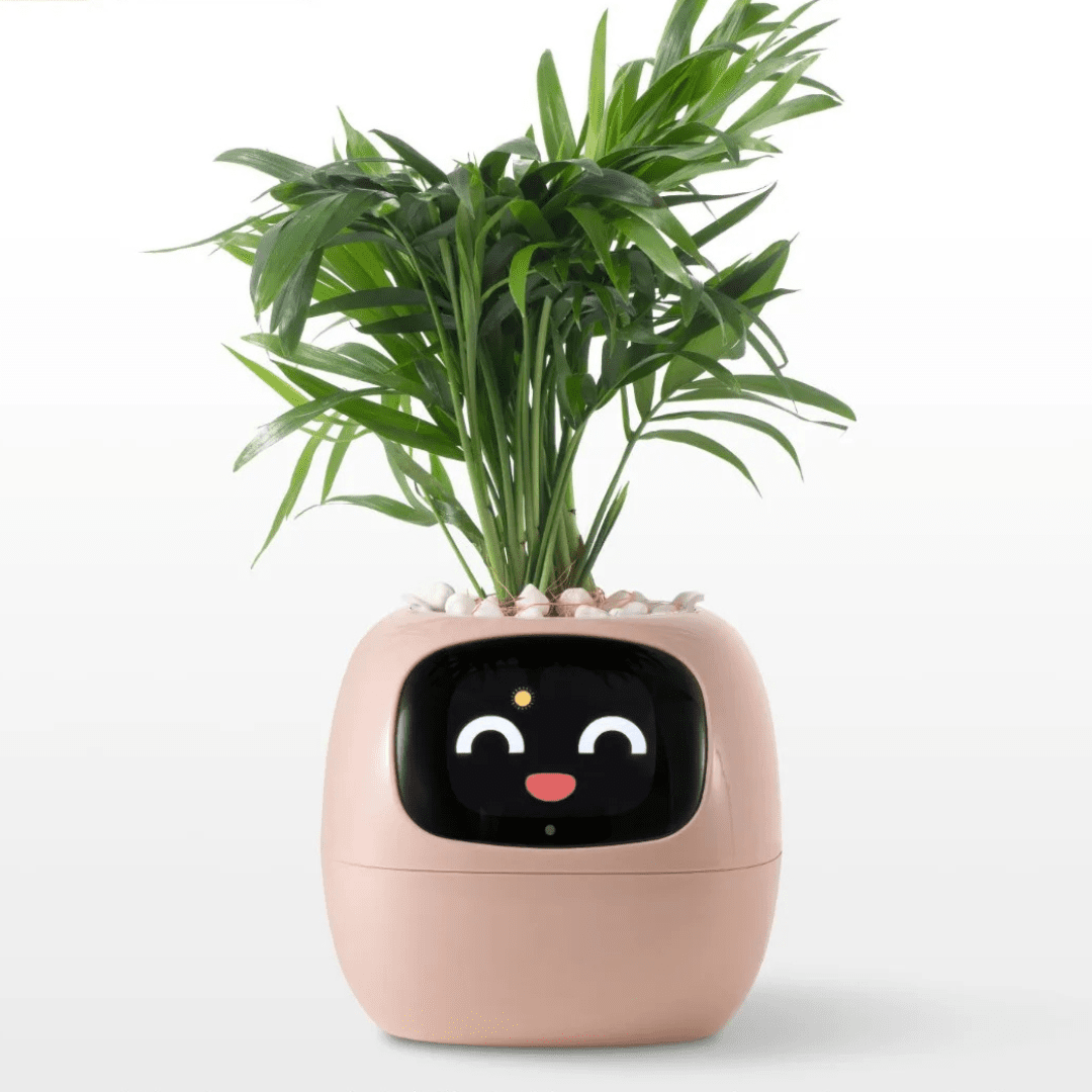Smart Flower Pot With AI Care System And Health Monitoring - Nalani - UK Fashion Clothing and Decor
