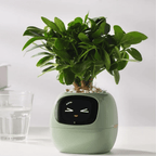 Smart Flower Pot With AI Care System And Health Monitoring - Nalani - UK Fashion Clothing and Decor