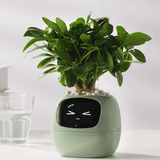 Smart Flower Pot With AI Care System And Health Monitoring - Nalani - UK Fashion Clothing and Decor