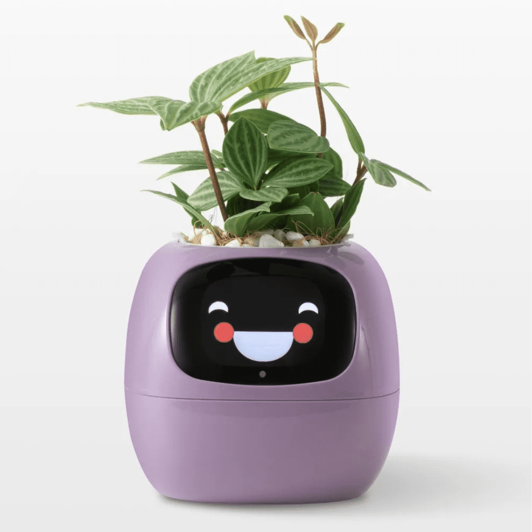 Smart Flower Pot With AI Care System And Health Monitoring - Nalani - UK Fashion Clothing and Decor