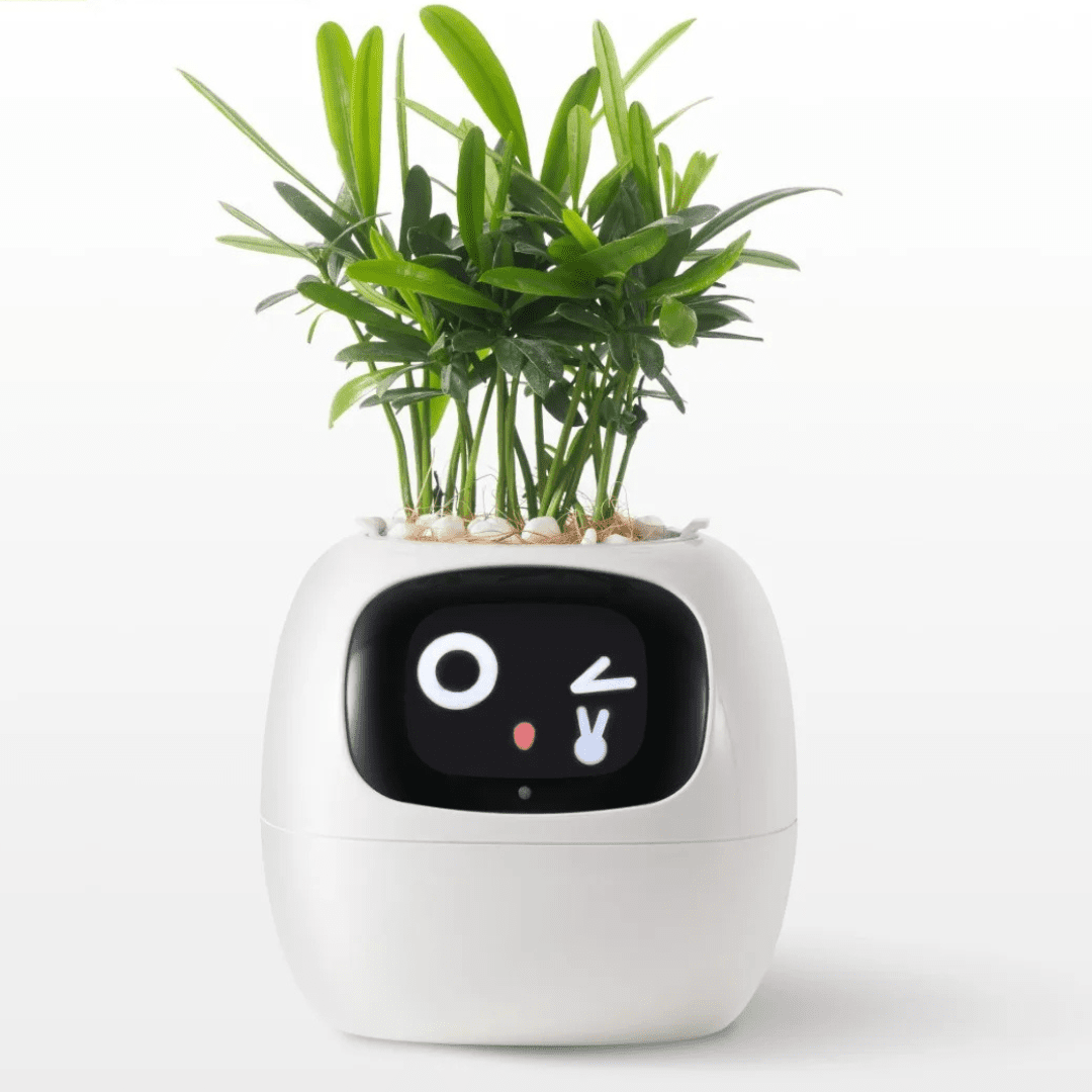 Smart Flower Pot With AI Care System And Health Monitoring - Nalani - UK Fashion Clothing and Decor