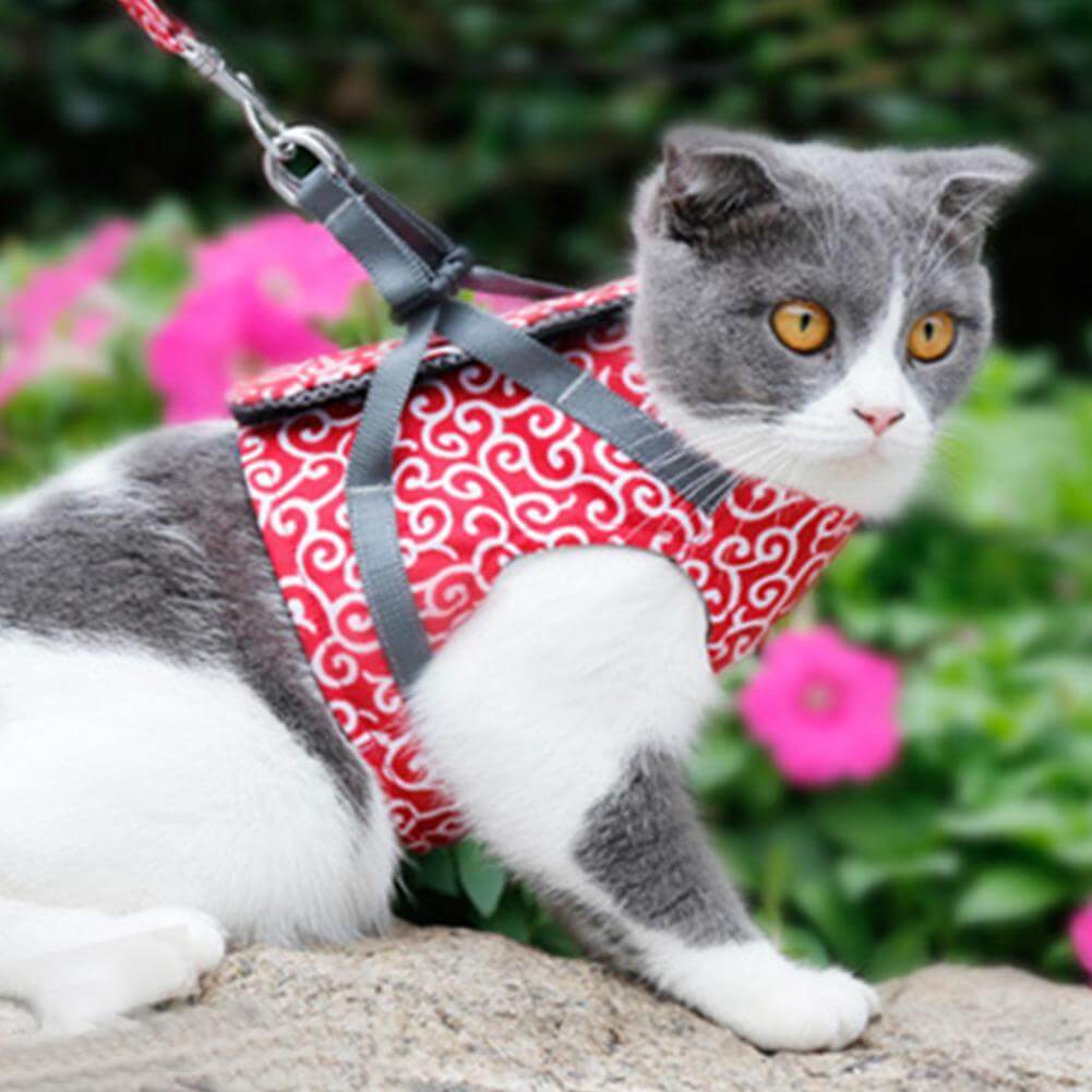 Novena | Kattenvest Tuigje Set - Rood - #NALANI#