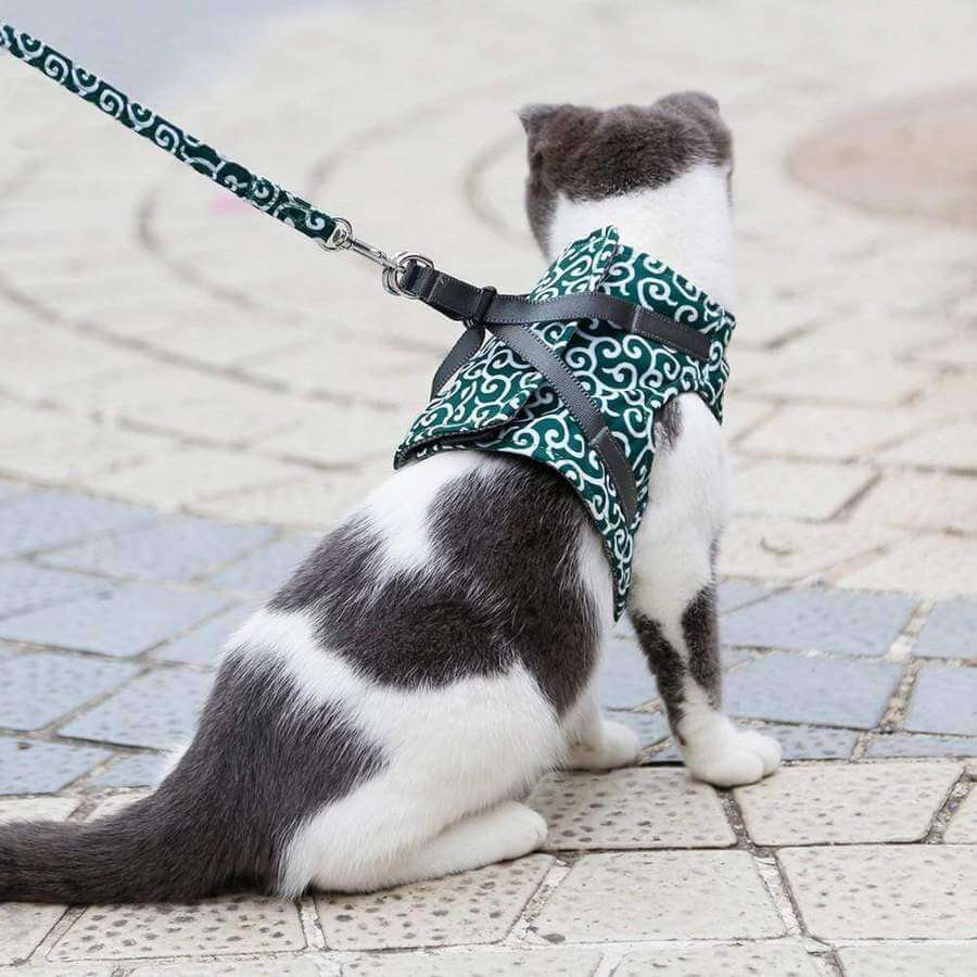 Novena | Kattenvest Tuigje Set - Blauw - #NALANI#