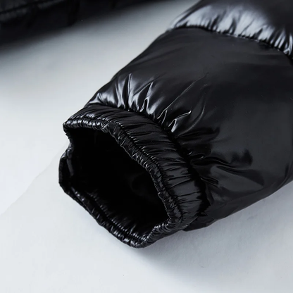 Mens Down Jacket Insulated Winter Outerwear Cold Weather