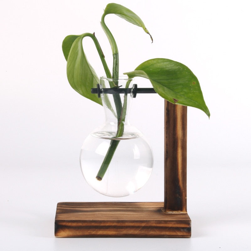 Vintage Garden Wooden Frame Terrarium Hydroponic Plant Vases NALANI