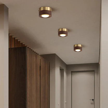 Walnut Ceiling Lamp with LED Spotlight for Elegant Illumination NaLani